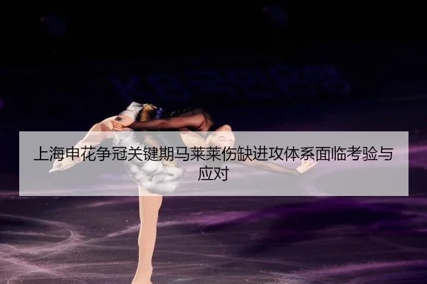 shang-hai-shen-hua-zheng-guan-guan-jian-qi-ma-lai-lai-shang-que-jin-gong-ti-xi-mian-lin-kao-yan-yu-ying-dui-3-505.jpg