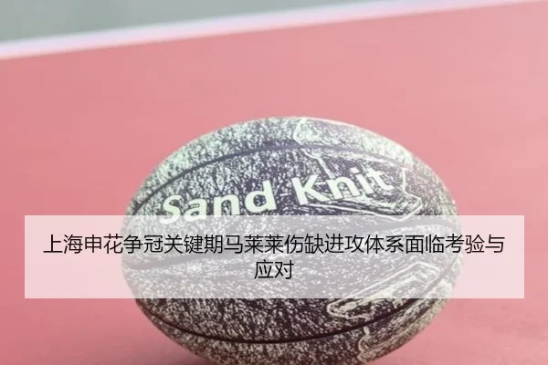 上海申花争冠关键期马莱莱伤缺进攻体系面临考验与应对