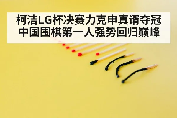 professional Go match